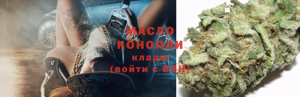 крисы Баксан