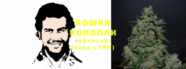 крисы Баксан