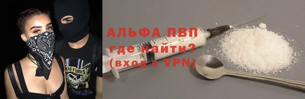 крисы Баксан