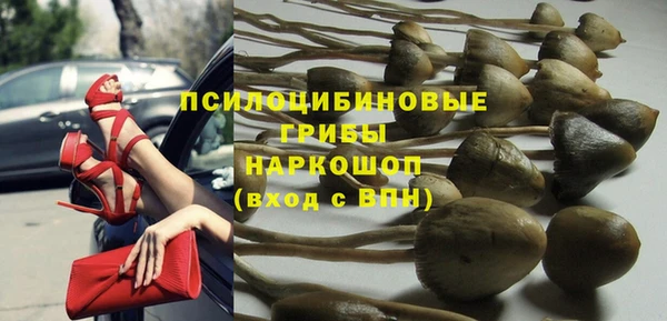 крисы Баксан