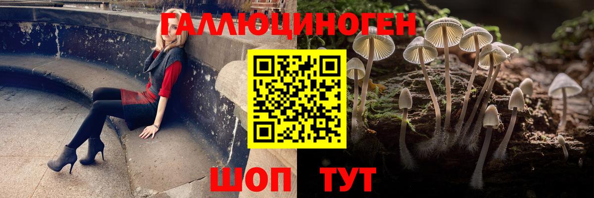 Галлюциногенные грибы Psilocybe  Вход с VPN  Псилоцибиновые грибы мухоморы  Маркс 